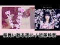 近藤玲奈 /Long ver. 桜舞い散る夜にguitar cover #弾いてみた TVアニメ ED「バトルアスリーテス大運動会 ReSTART!」 れいれい 耳コピ アレンジ