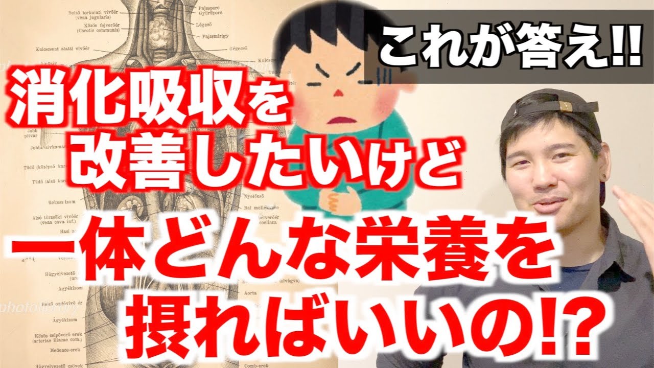 【この動画1本でお悩みを解消します】消化吸収不良の原因と改善方法を栄養学的に徹底解説。消化吸収系サプリの取捨選択。
