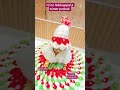 12. no laddugopal ji Winter ✨poshak #trending #youtubeshorts #reels #shorts #subscribe #viralvideos