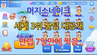 [GAME WORLD] 머지스네이크 7일만에 만렙찍는 꿀팁 screenshot 5