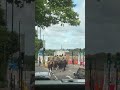A bit of traffic 🐴