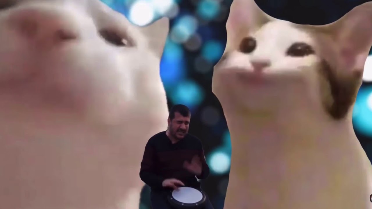 Pop Cat Vs Vibing Cat