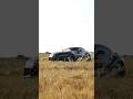 my car speed ramps #editing #aftereffects #speedramp #car #caredit