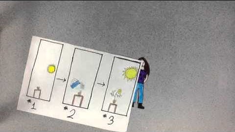 Text Structure Chronological Order