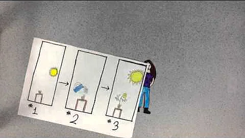 Text Structure Chronological Order