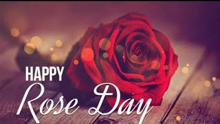 Rose Day 2022 Status || Happy Rose Day 2022 || Rose Day 2022 WhatsApp Status Video