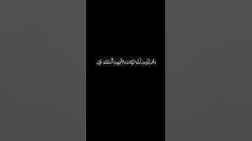 #القران_الكريم #سورة_آل_عمران #ياسرالدوسري #كرومات  الايه 20