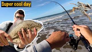 Barred Surf Perch Fishing with Lures - Surprise Catches