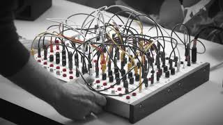 Serge Modular Paperface 2.0 - Live and Raw