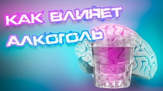 Как алкоголь влияет на работу мозга: нервную систему и когнитивные способности #заботаоздоровье