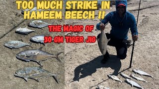 Unlimited queen fish strike on jigging @Hameem Beach Abu Dhabi