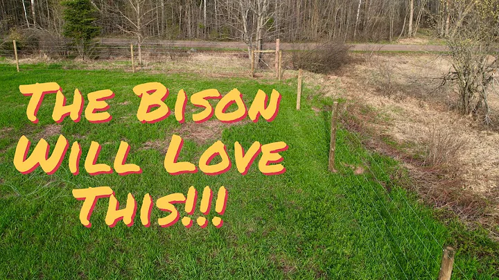 Our Bison Will Love the New Fence!