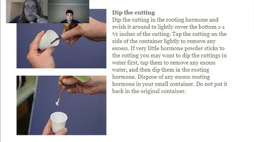 Propagation: Claim-support-question