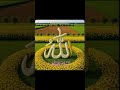 Allah hi Allah hai #shorts#power of name# 786