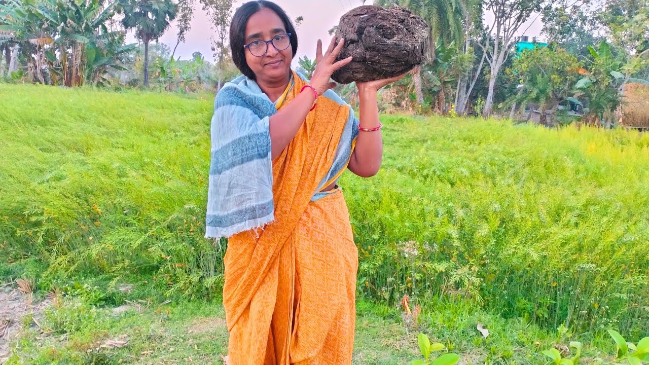 আজকে আমরা শুকনো গোবর ভাঙলাম 😱😱| Vlog Video 😍
