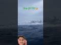 ship डूब गया पानी में #viralvideo #facts #trending #ship #motivation
