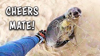 Greatest Seal Rescuers in the World! Ozzy Man Reviews