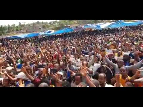 Sagantaa Qubsiisa Aalimaa Godina Jimmaa Aanaa Saqqaa Coqorsaatti Gaggeeffame Mee Daaw Adhaa