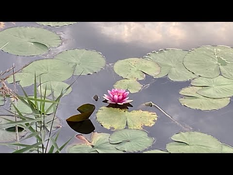임범수 - 약속