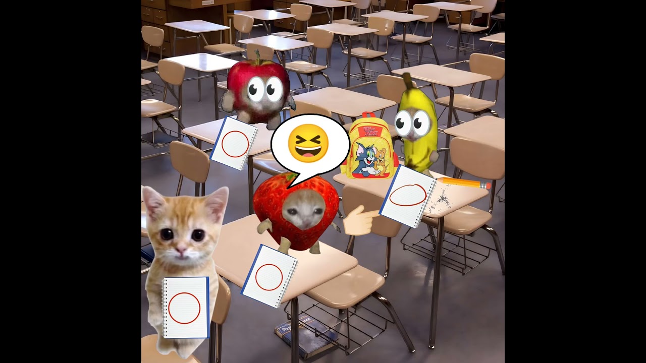 Baby Banana Cat School Day 😺❤️ 