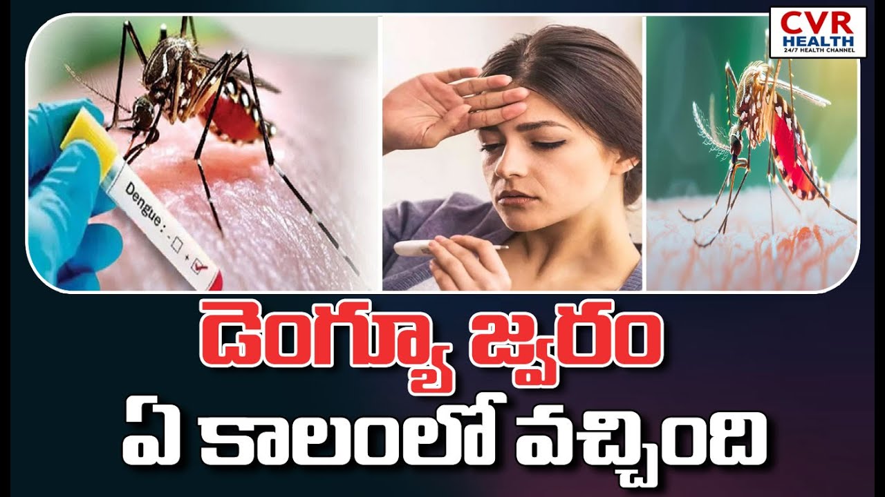 డెంగ్యూ జ్వరం ఏ కాలంలో వచ్చింది | Dengue Fever Effect In This Season ...