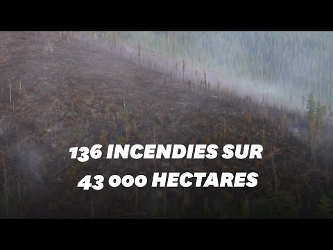 Vidéo: Les Incendies En Sibérie Empoisonneront L'Europe: Les Scientifiques Occidentaux Sont Effrayés Par Le Réchauffement En Russie - Vue Alternative