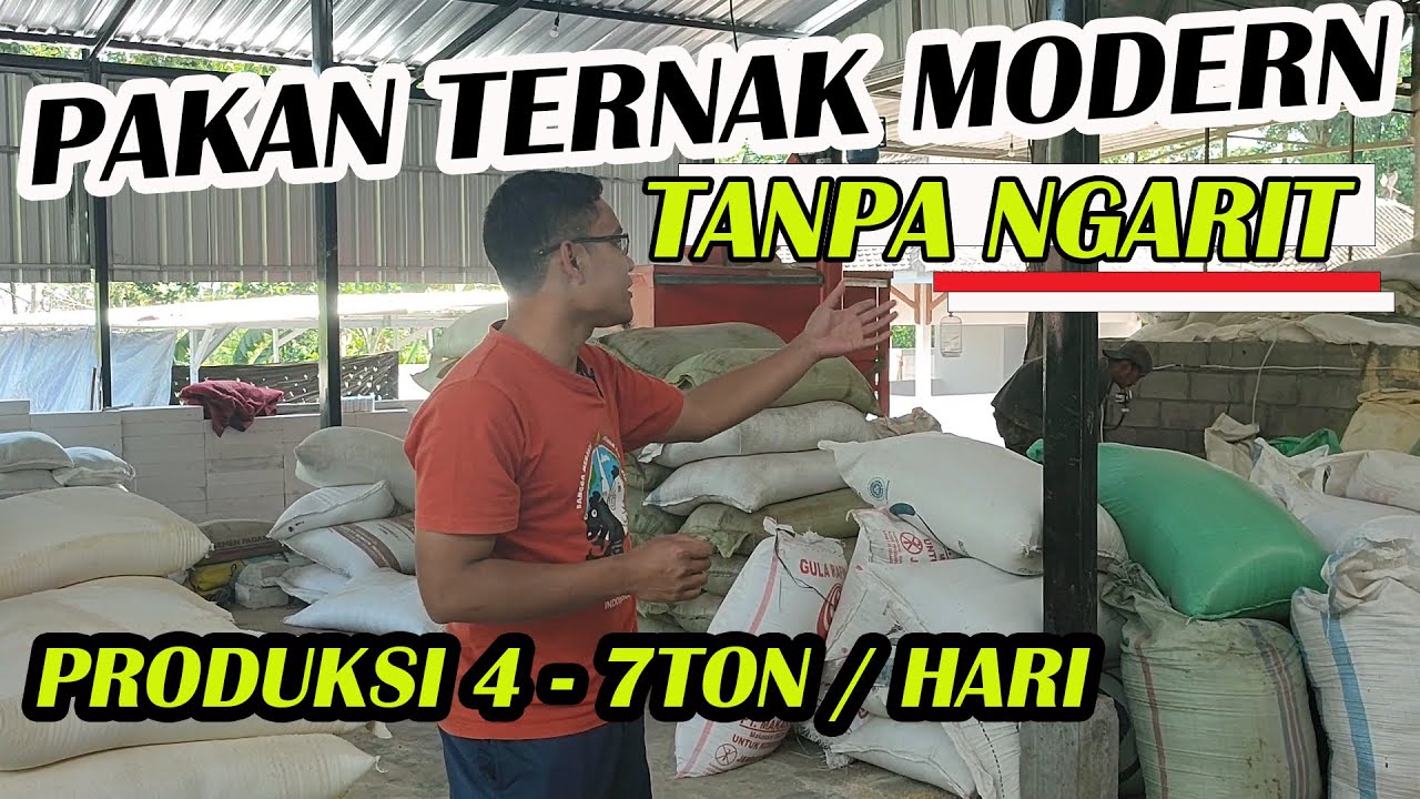 PAKAN TERNAK MODERN TANPA NGARIT PRODUKSI 4 - 7 TON / HARI ,KANDANG