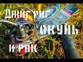 Джиг риг (Jig Rig) и рак.  Ловля окуня в траве