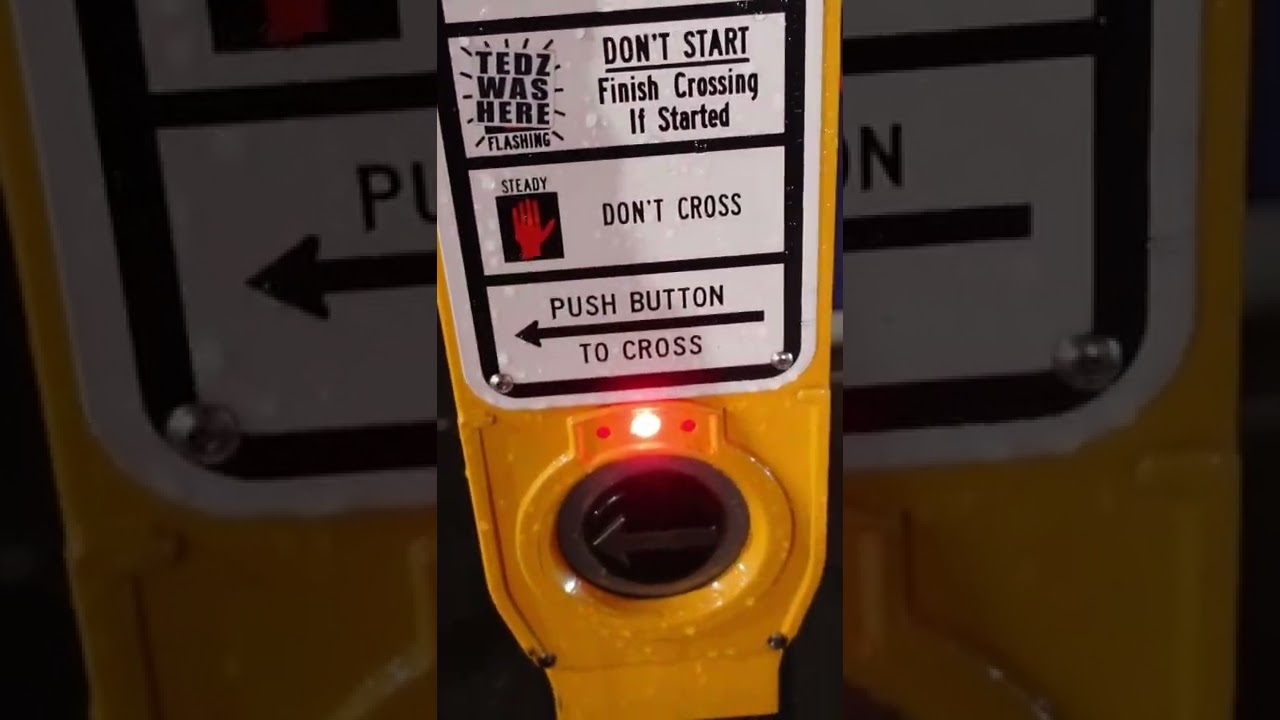 pedestrian light 🚦 [daily dose of New York 🍎] 