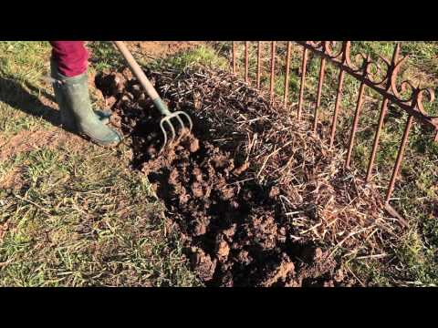 Vidéo: Ameublir un sol compacté : comment améliorer le compactage du sol