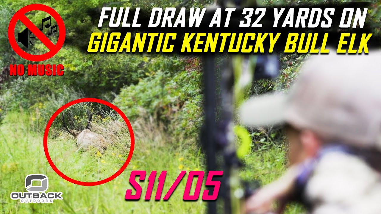 Full Draw at 32 Yards on Gigantic Kentucky Bull S11/E05 - NO MUSIC