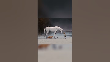 Embrace Your Unique Journey! You Are Loved (2024)