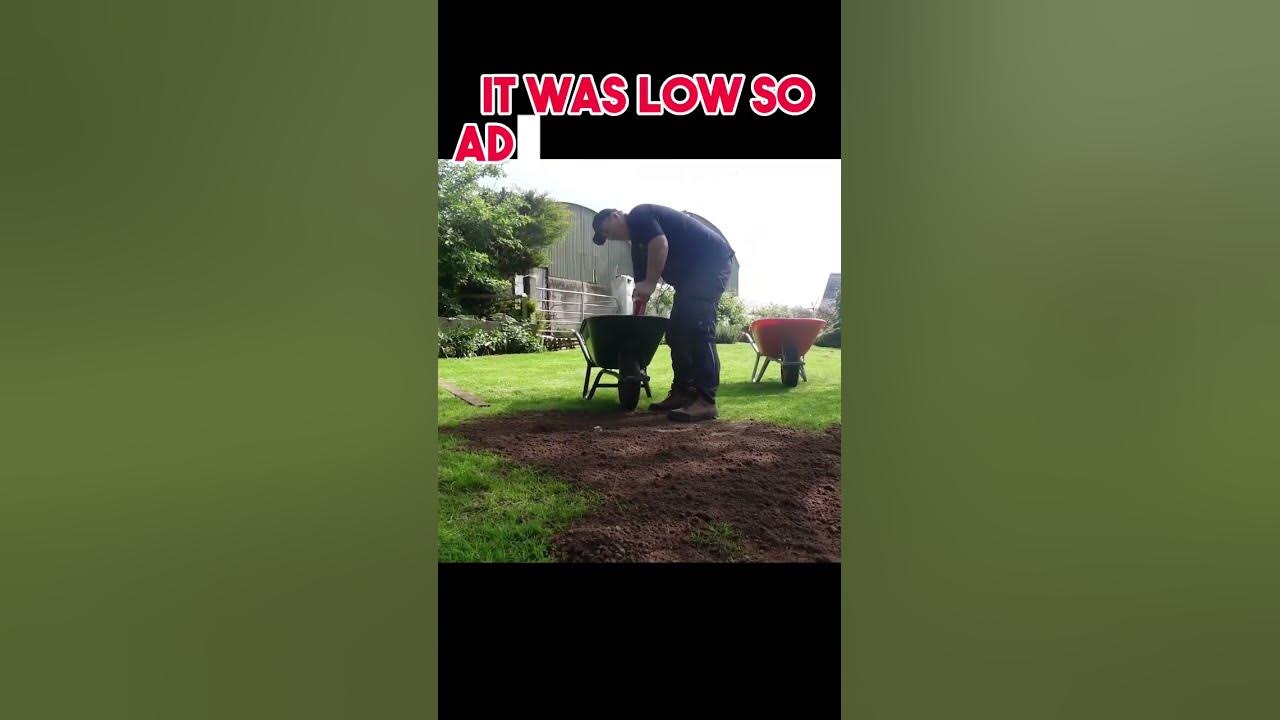 How to stop birds from eating all the grass seed YouTube