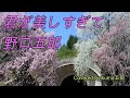 【君が美しすぎて】野口五郎(Covered by kuma五郎)歌ってみました