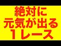 【東欧のもこう】とりあえず見てくれ。【マリオカート8DX】