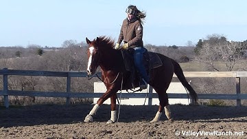 BNL Cat Burglar - riding in outdoor arena 2 - Valley View Ranch
