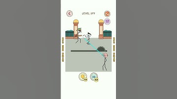 Thief Puzzle Level 177