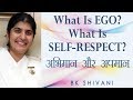 What Is EGO? What Is SELF RESPECT?: Ep 82 Soul Reflections: BK Shivani (Hindi)