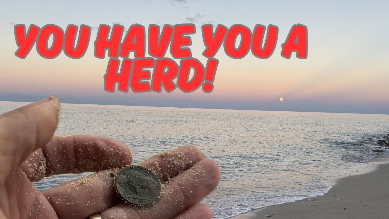 У вас целое стадо! Поиск металла с помощью XP Deus II.