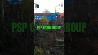 PSP CARGO GROUP