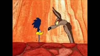 Roadrunner Beep Beep