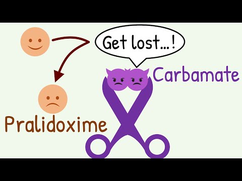 Why Pralidoxime is