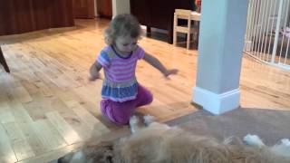 Toddler Sings 'Happy & You Know It' to Golden Retriever by TuBob Shakur 5,653 views 10 years ago 1 minute, 38 seconds