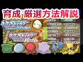 【BDSP】ポケモン育成、厳選方法をわかりやすく解説！【ダイパリメイク】