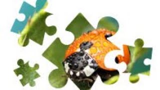 Adobe Photoshop – Виды масок в Photoshop, их практическое применение screenshot 2