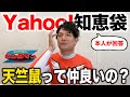 【Yahoo!知恵袋】天竺鼠に関する質問に本人が回答してみた【セシタマン】