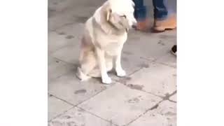 66666666666666666666666666666666666666666666666666