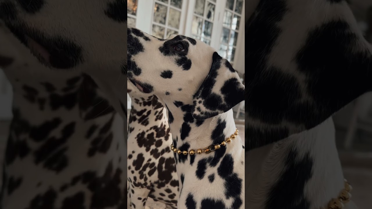 Как ощущается жизнь, когда выбрала украшения ODNO.ZVENO 🔗 