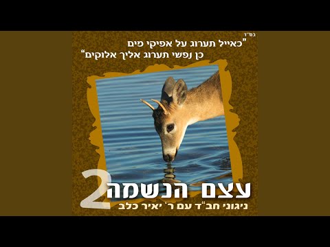 The Beinoni