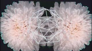 GEONI - Reality (Lyrics Video)